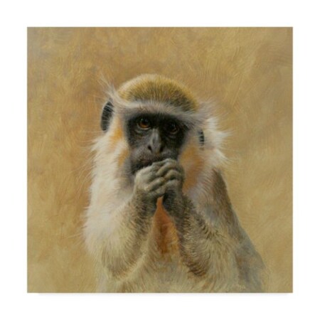 Trademark Fine Art